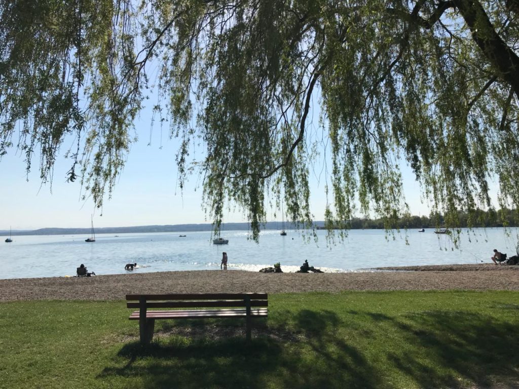 Eine Parkbank auf einer Wiese im Schatten eines Baumes